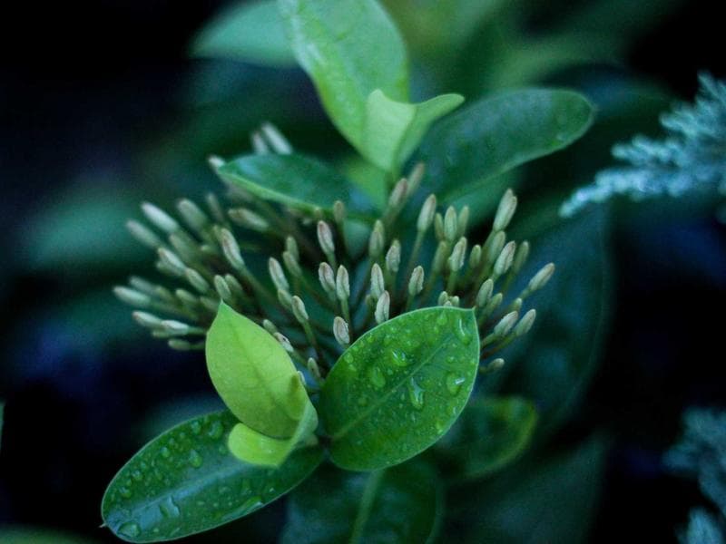 Placeholder photography — to be replaced with real TallaAI product imagery